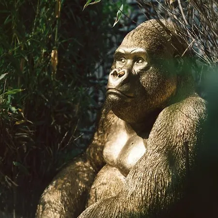 Casa vacanze Luxus Kalkbärg Göhren-Lebbin